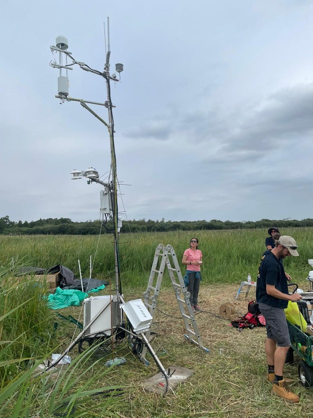 Three people are stood around a tall, thin white tower (flux tower - a piece of scientific research equipment) with sensors on it, on an area of flat green grass with blue skies and bushes in the background